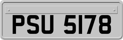 PSU5178