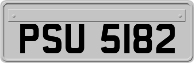 PSU5182