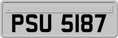 PSU5187