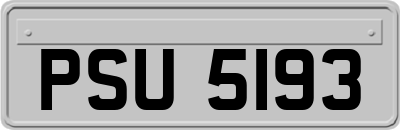 PSU5193