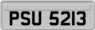 PSU5213