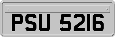 PSU5216