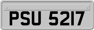 PSU5217