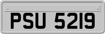 PSU5219