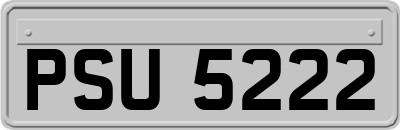PSU5222