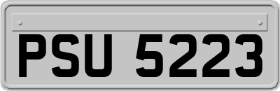 PSU5223