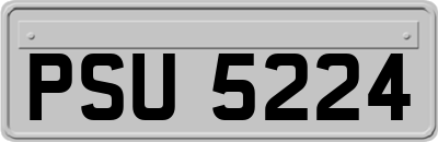 PSU5224