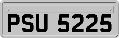 PSU5225