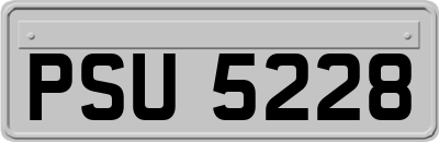 PSU5228