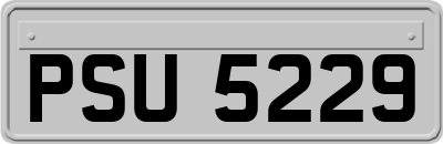 PSU5229