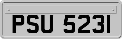 PSU5231