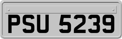 PSU5239