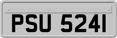 PSU5241