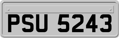 PSU5243