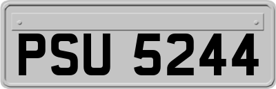 PSU5244