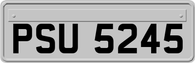 PSU5245