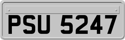 PSU5247