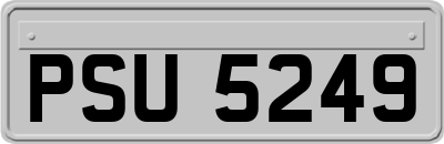 PSU5249