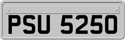 PSU5250