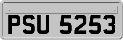 PSU5253