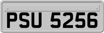 PSU5256