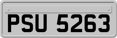 PSU5263