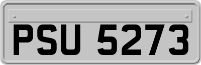 PSU5273