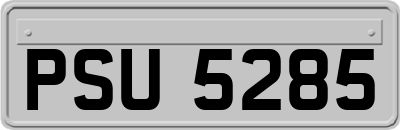 PSU5285