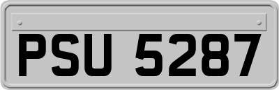 PSU5287