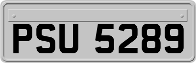 PSU5289