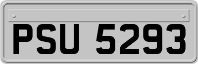 PSU5293