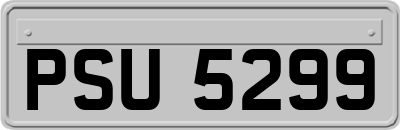 PSU5299