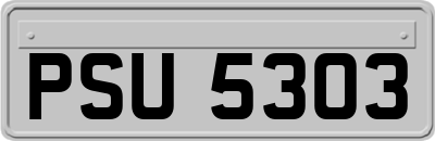 PSU5303