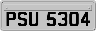 PSU5304