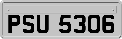 PSU5306