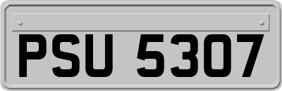 PSU5307