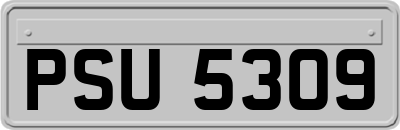 PSU5309