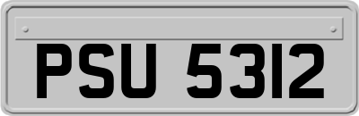 PSU5312
