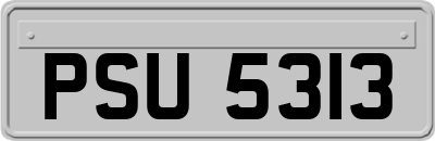 PSU5313
