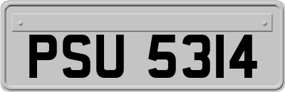 PSU5314