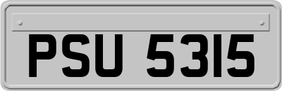 PSU5315