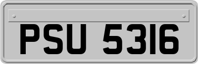 PSU5316