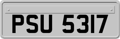 PSU5317