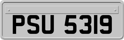 PSU5319