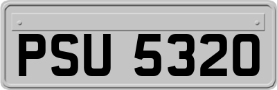PSU5320
