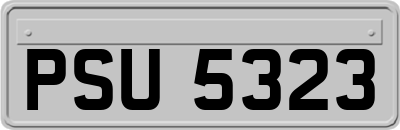 PSU5323