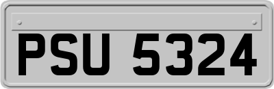 PSU5324