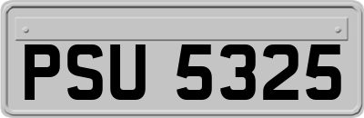 PSU5325