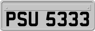 PSU5333