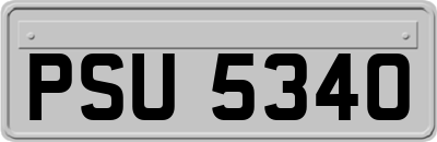 PSU5340